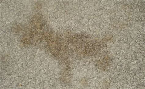 urine mapping on carpet flaws